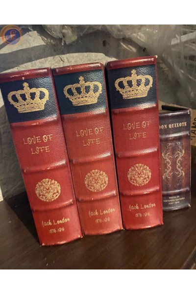 Гаррі Поттер