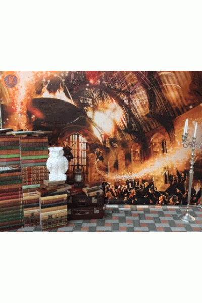 Гаррі Поттер