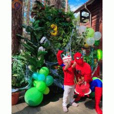 Стінка «Екзотика» маленька