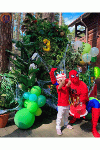 Стінка «Екзотика» маленька