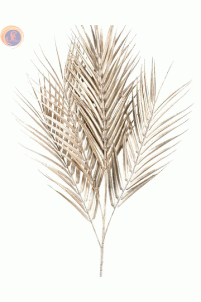 Пальмова золота гілка