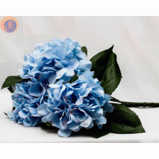 Гортензія блакитна кущ