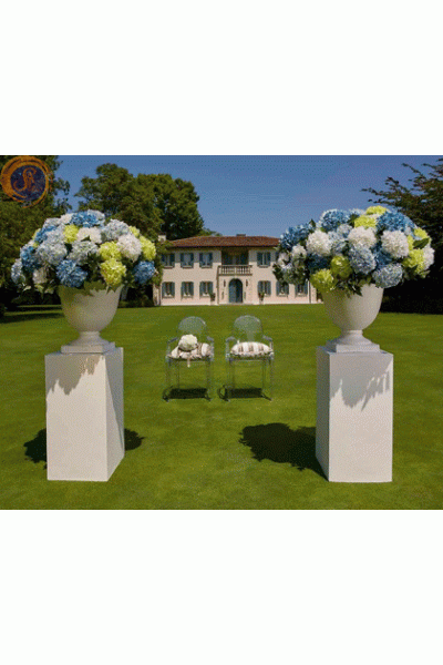 Гортензія блакитна кущ