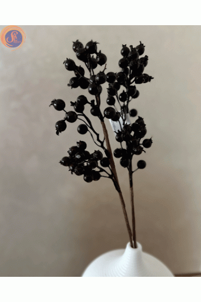 Гілка чорниці