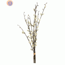 Верба (котики) 