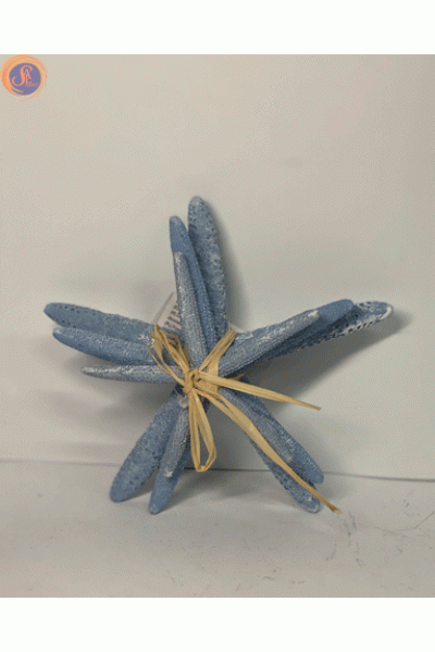 Морські зірки