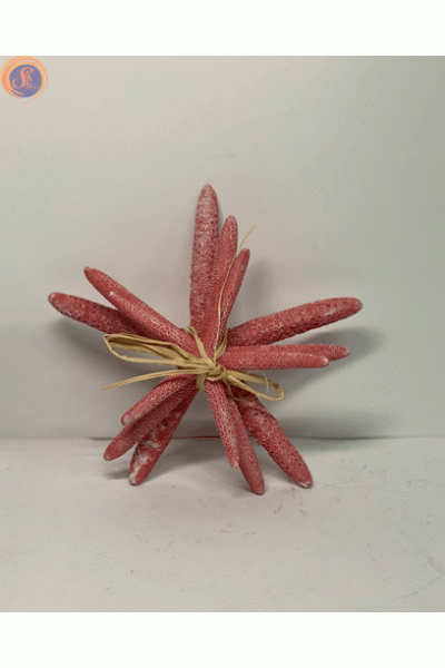 Морські зірки