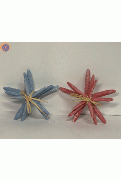 Морські зірки