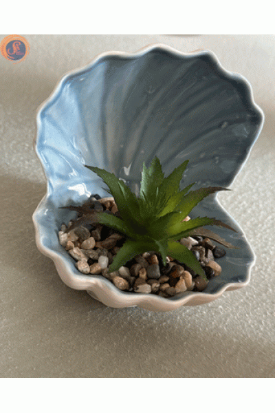 Декоративна мушля