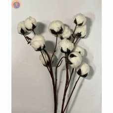 Гілка бавовни