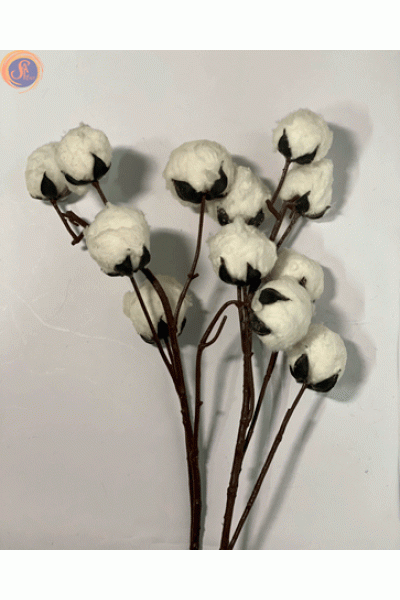 Гілка бавовни