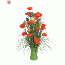 Польові маки