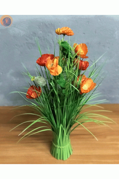 Польові маки