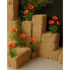 «Запах сіна і пелюсток»