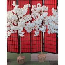 Сакури декоративні