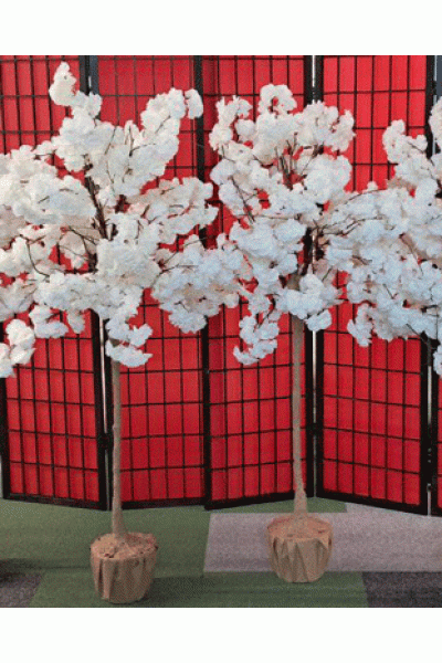 Сакури декоративні