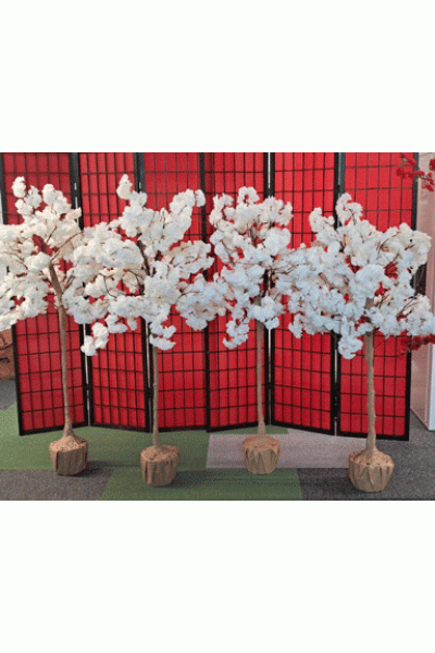 Сакури декоративні