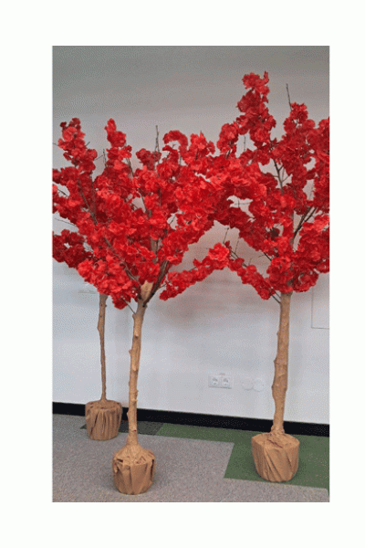 Сакури декоративні