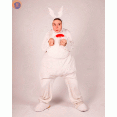 Заєць білий