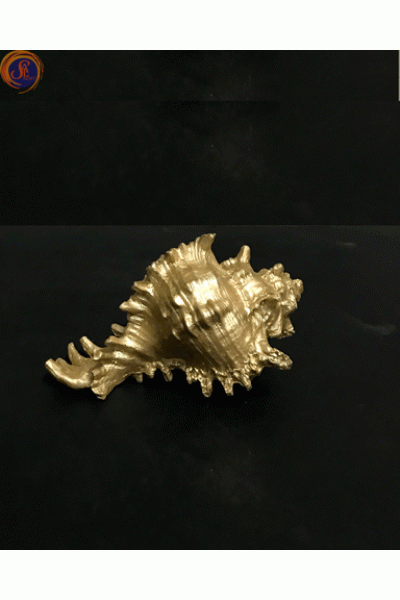 Мушля рапана золота