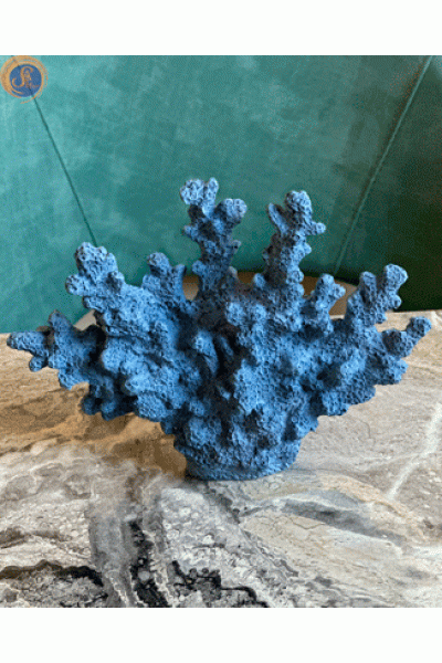 Декоративні корали