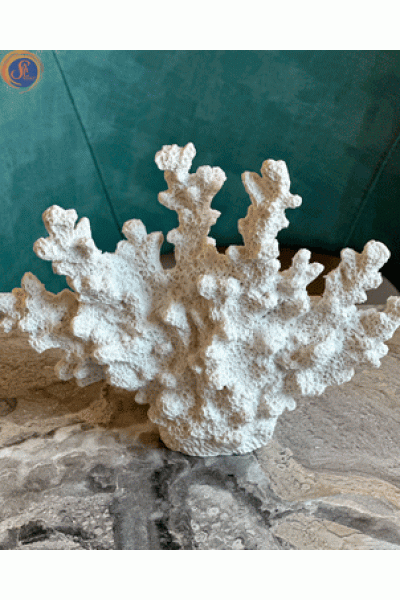 Декоративні корали