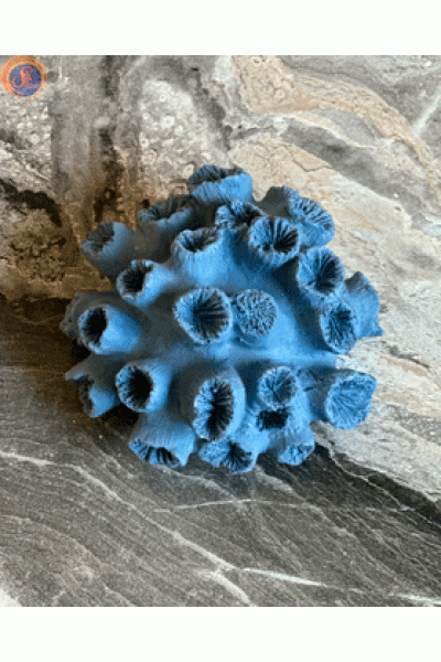 Декоративні корали