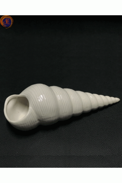 Мушля спіральна декоративна