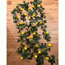 Гірлянда з лимонів