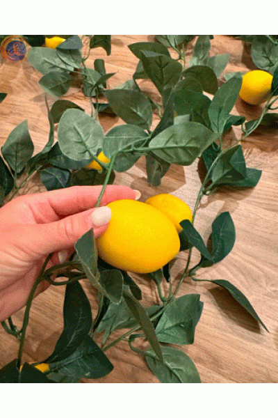 Гірлянда з лимонів