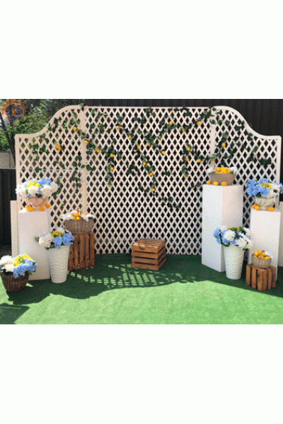 Гірлянда з лимонів