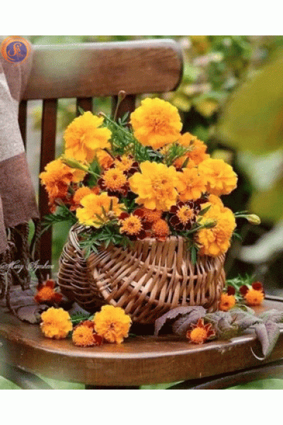 Композиції осінні