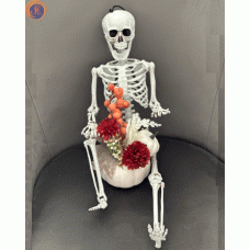 Скелет «Артем»