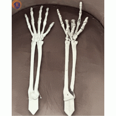 Рука скелету