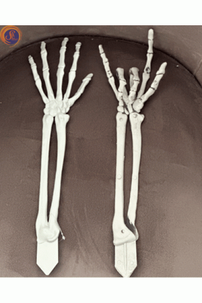 Рука скелету