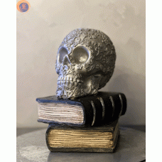 Череп на книгах