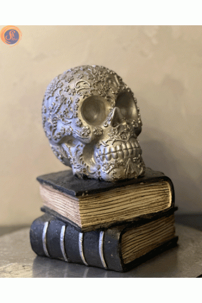 Череп на книгах