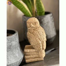 Сова на книгах