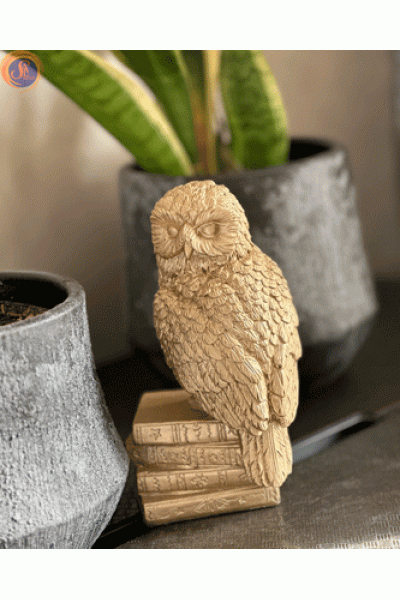 Сова на книгах