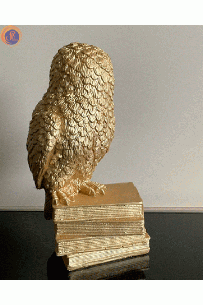 Сова на книгах