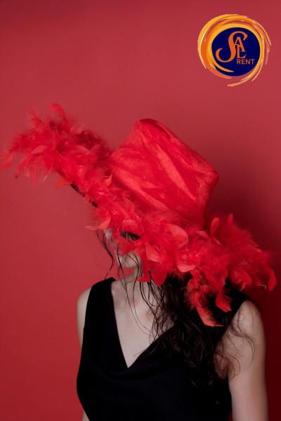 Шляпа с перьями