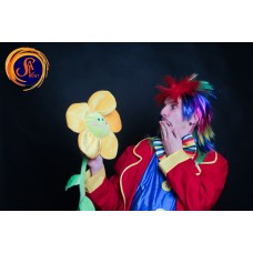 Перука Веселка 