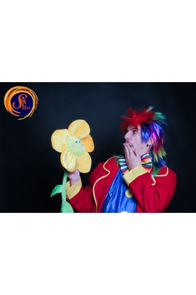 Перука Веселка 