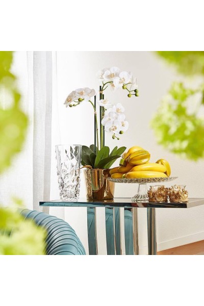 Орхідея в горщику (90 см)