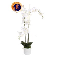 Орхідея в кашпо (1,4 м)
