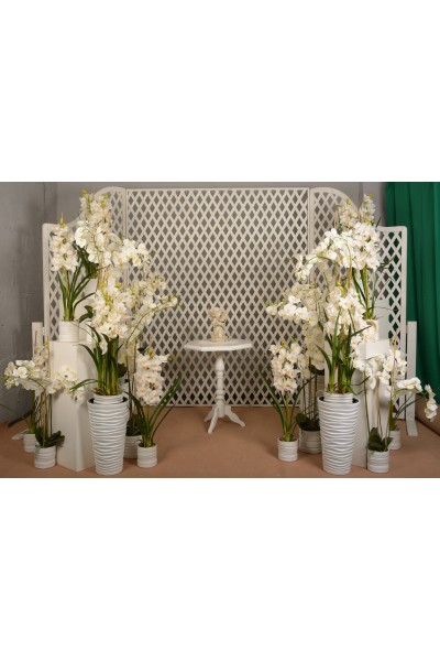 Орхідея в кашпо (1,4 м)