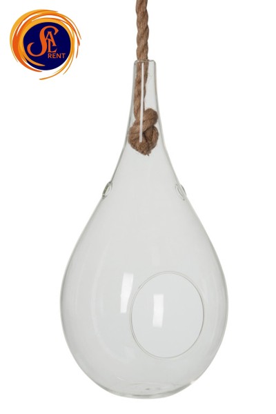 Тераріум для рослин 