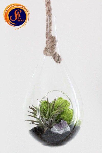 Тераріум для рослин 