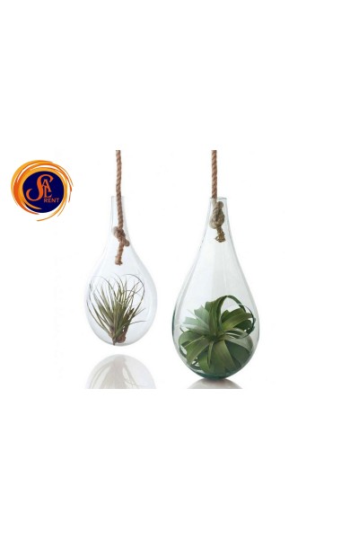 Тераріум для рослин 