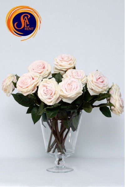 Троянда рожева